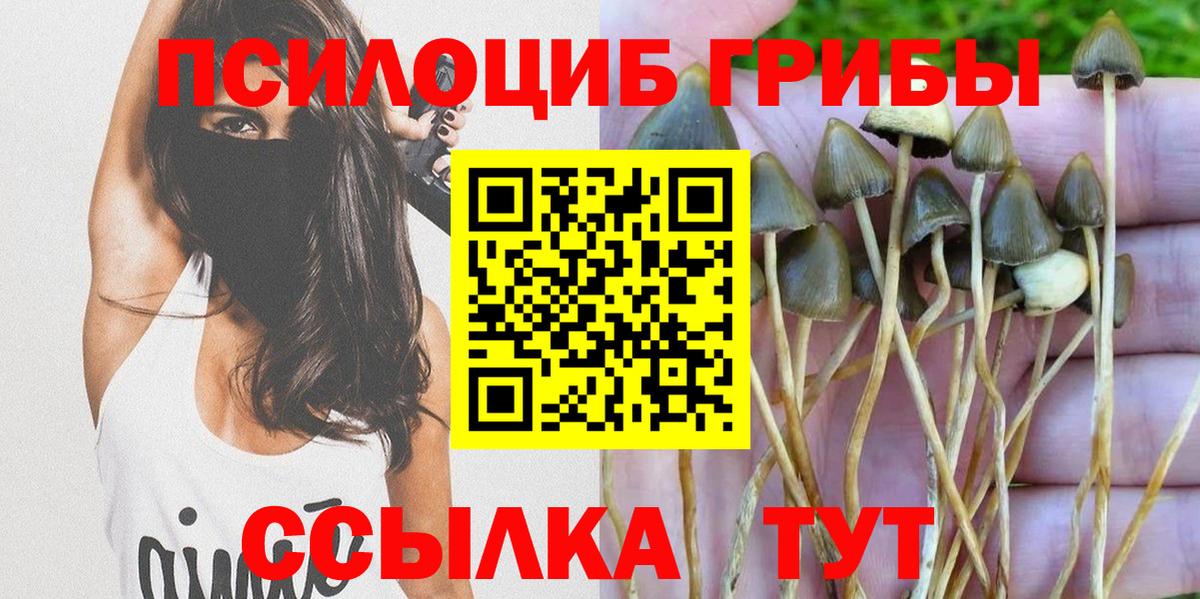 Северск  Псилоцибиновые грибы Magic Shrooms  Вход с VPN 
